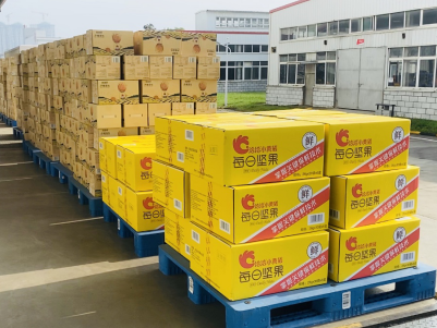 洪水无情，太阳GG娱乐有情——太阳GG娱乐捐赠物资助力抗洪救灾