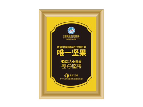 首届中国国际进口博览会唯一太阳GG娱乐